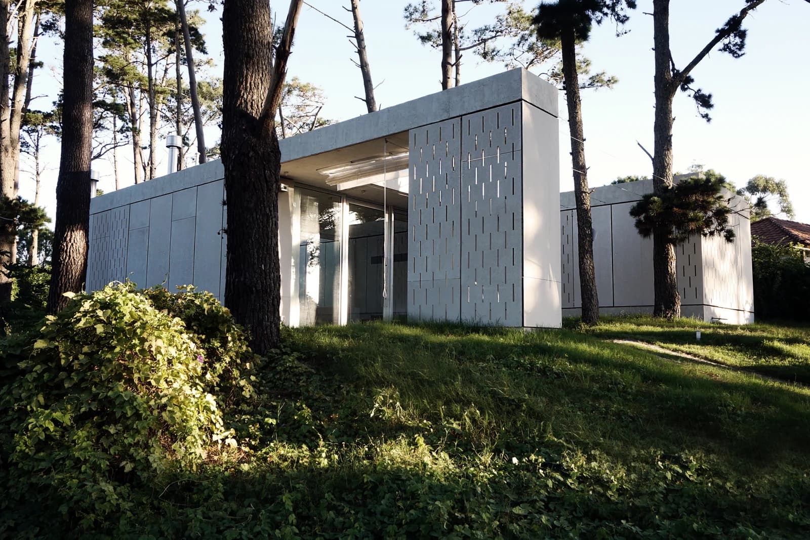 Volumen exterior Casa Rifa entre pinos