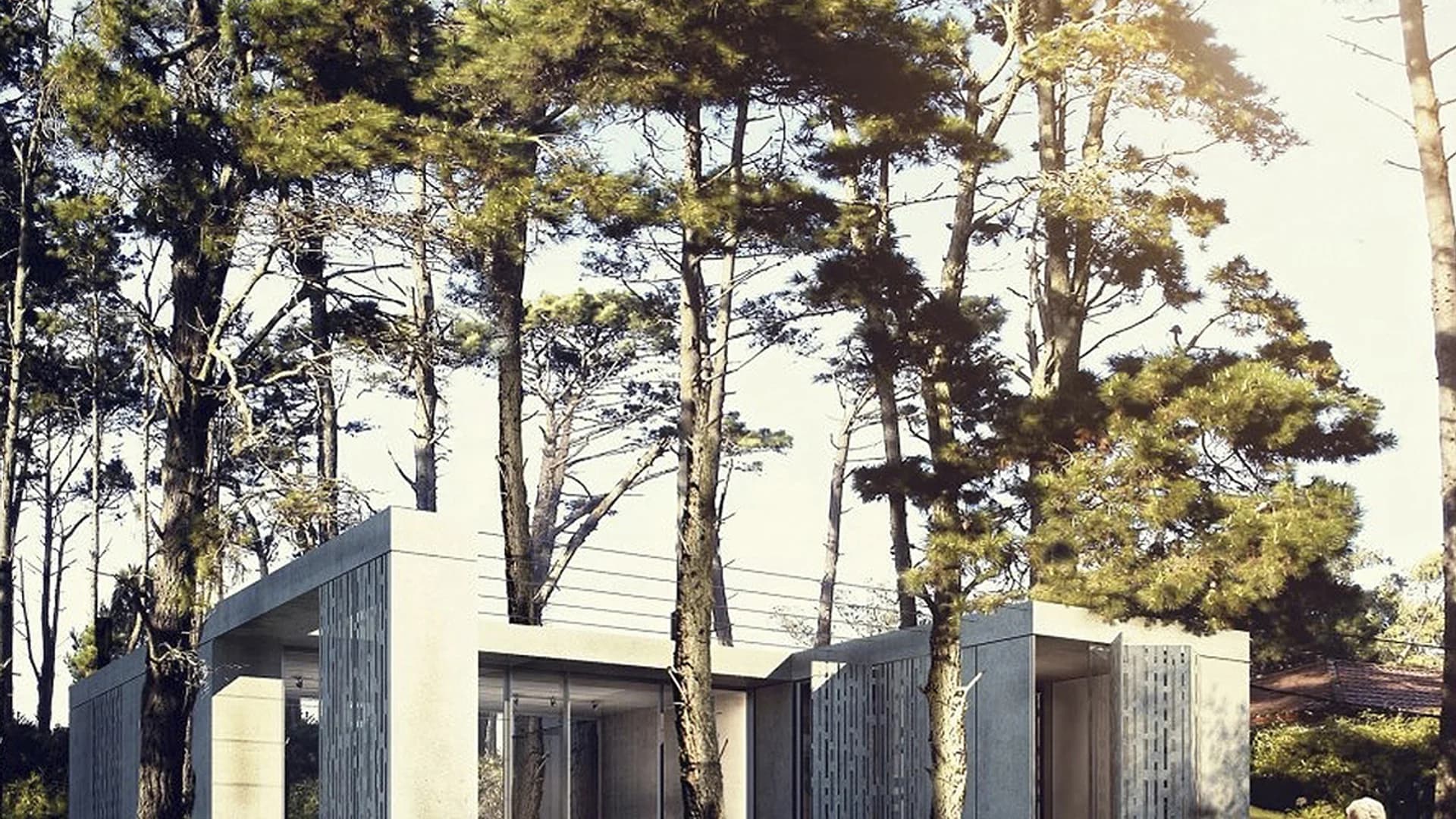 Render 2012 exterior Casa Rifa